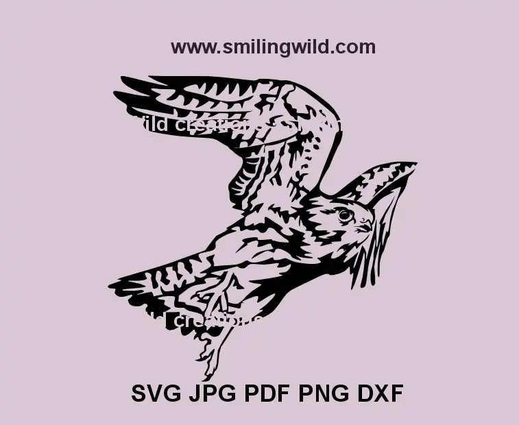 Flying Falcon SVG, png and dxf black vector design – bird digital drawing for laser cutting and wall art