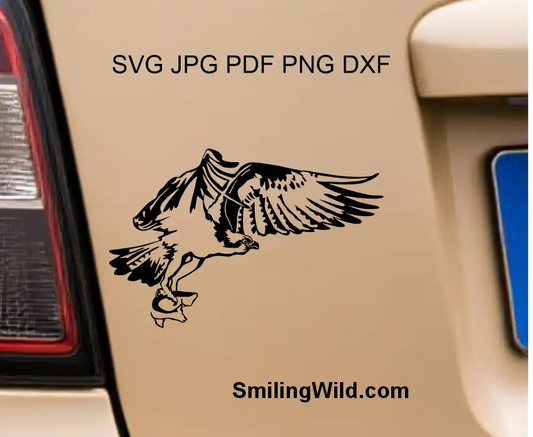 Detailed sea hawk avian wildlife illustration paths in png and DXF format optimized for precise CNC plasma and vinyl cutting