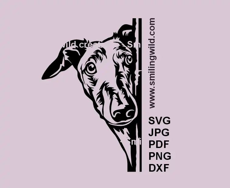 Galgo SVG, PNG & DXF – Dog Peeking Around the Corner Clipart – Black & White Vector Design