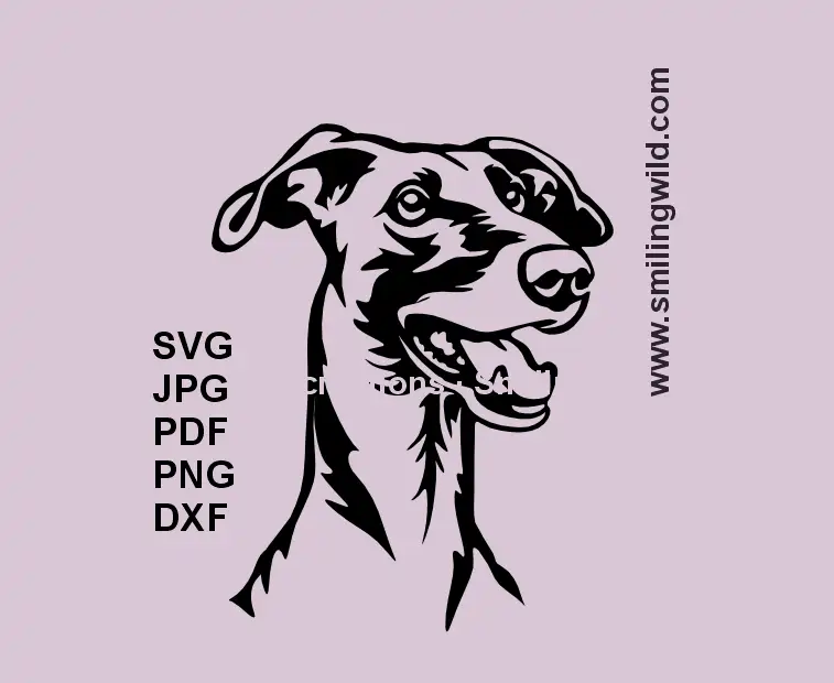 Galgo dog SVG head clipart – smiling black vector for Cricut and laser engraving