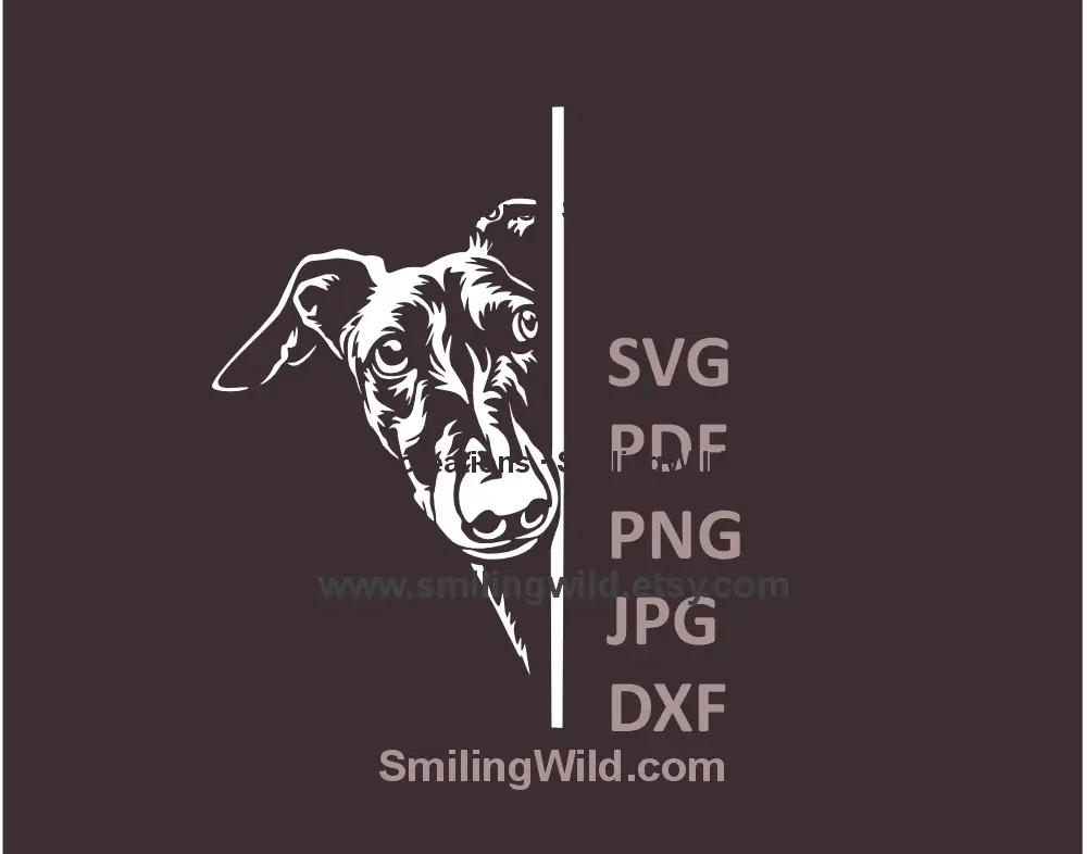 Galgo dog peeking silhouette SVG – black & white digital clipart for crafting
