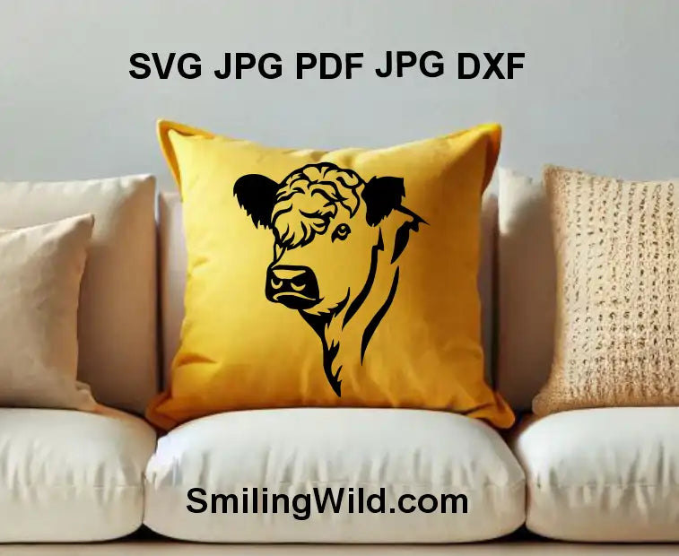 Galloway cattle head PNG – realistic farm cow black vector for Cricut crafts and farmhouse décor