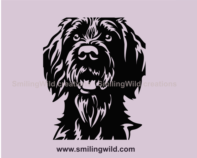 german wirehaired pointer graphic portrait close up