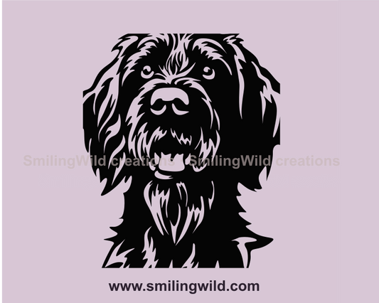 german wirehaired pointer graphic portrait close up