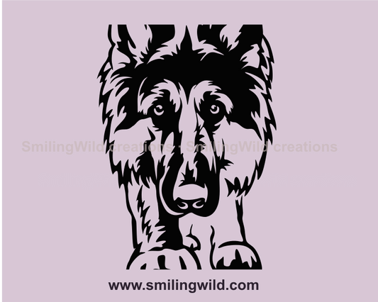 german shepherd vector graphic image in close up frame