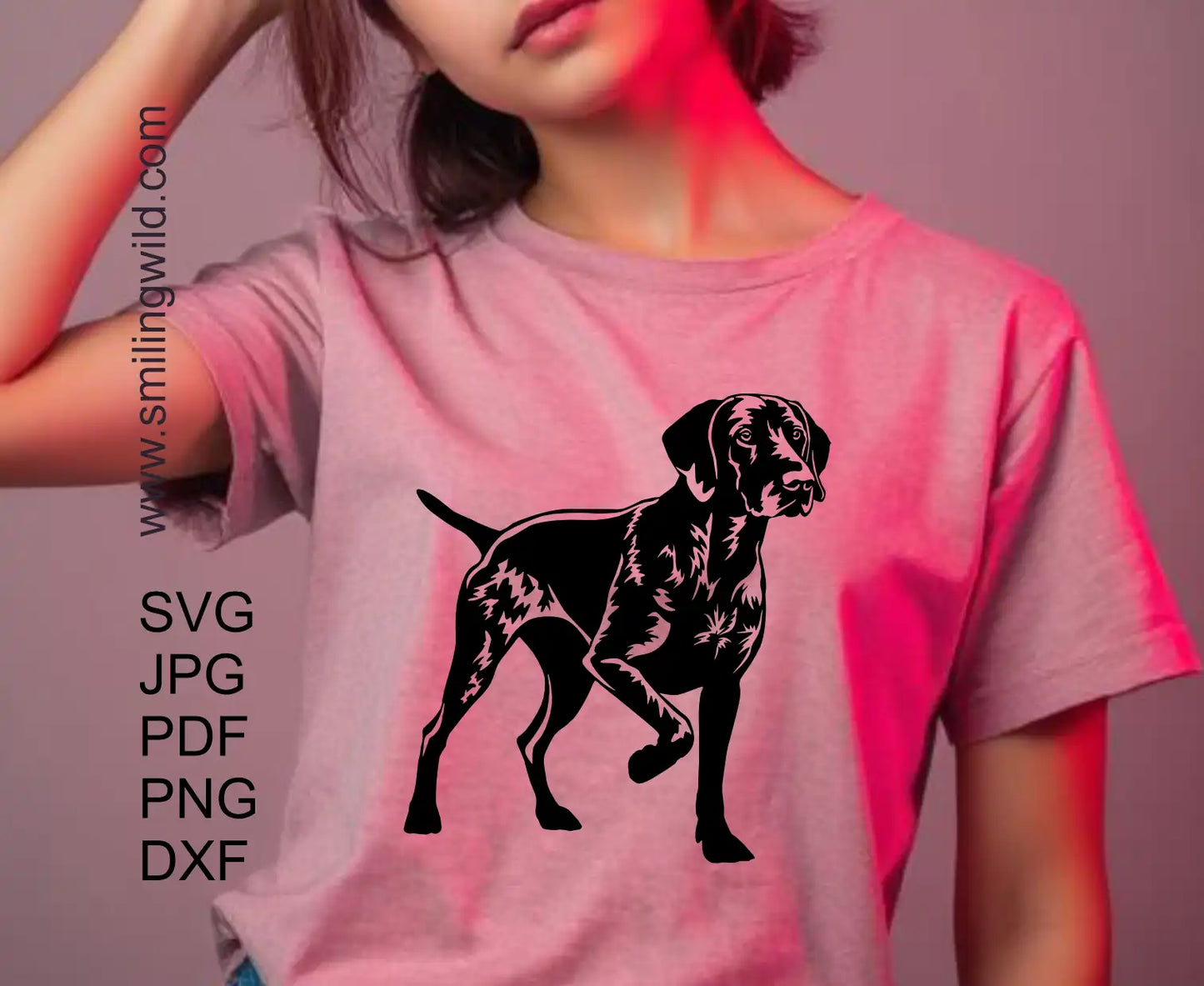 German shorthaired pointer dxf vector graphic for cutting showcases a full body hunting dog in pointing positio with raised paw