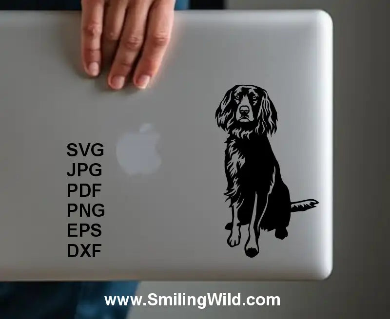 german spaniel also known as Deutscher Wachtelhund full body portrait clipart for laser engraving projects