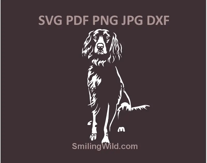 White German Spaniel SVG vector portrait for laser cutting and Cricut