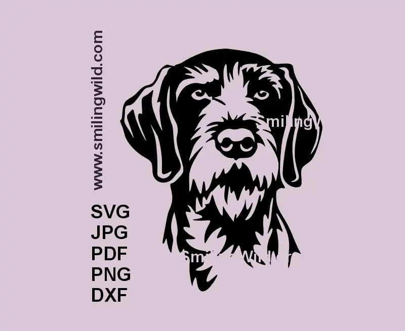 German Wirehaired Pointer gun dog head frontal pose vector clipart for Cricut and laser cutting crafts