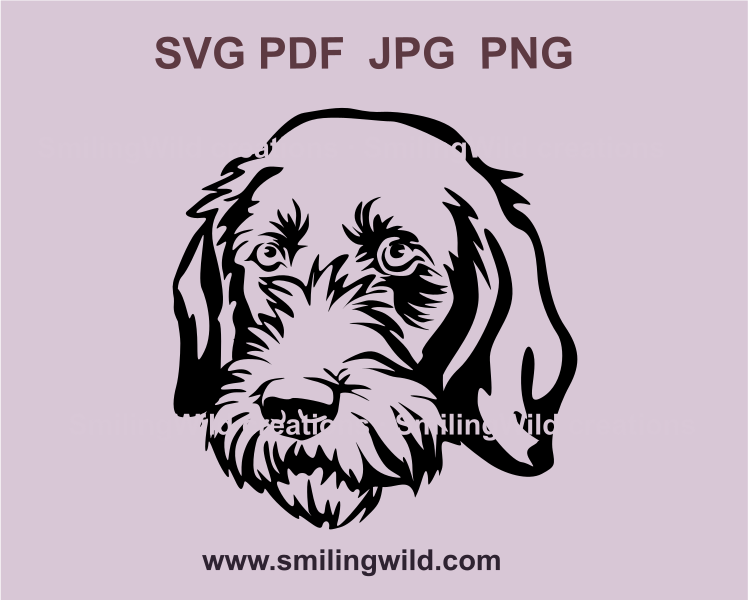 german wirehaired pointer face svg digital drawing