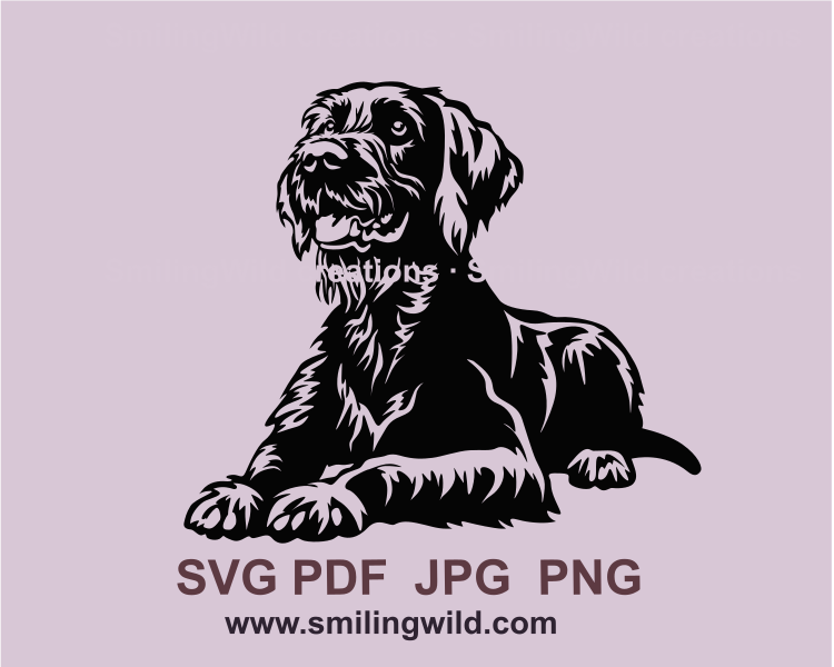 german wirehaired pointer vector graphic style design
