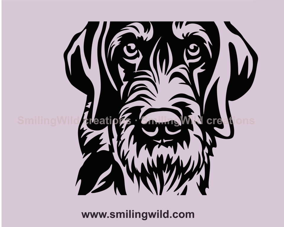 german wirehaired pointer vector face