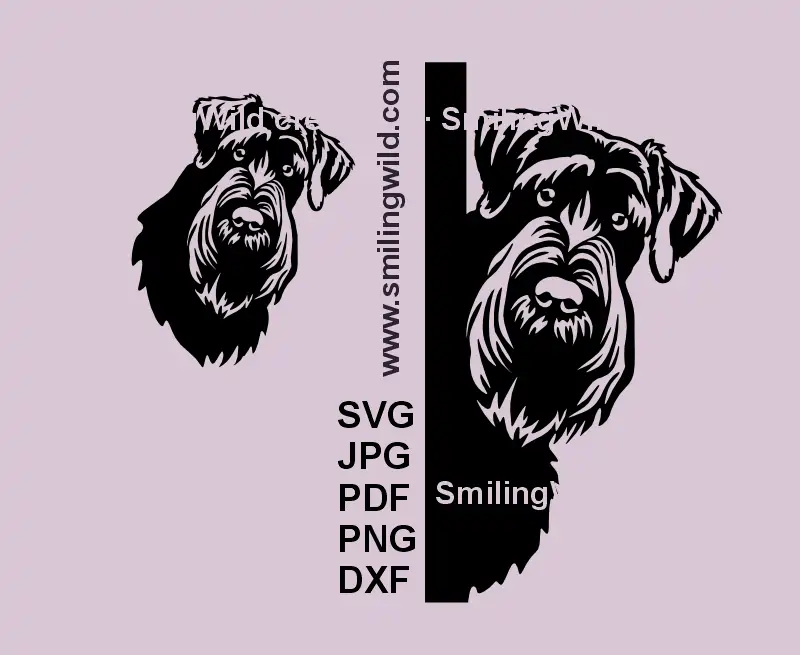 Black vector clipart of a peeking around the corner Giant Schnauzer dog head for Cricut and laser cutting designs - 2versions - a corner dogand a full head portrait