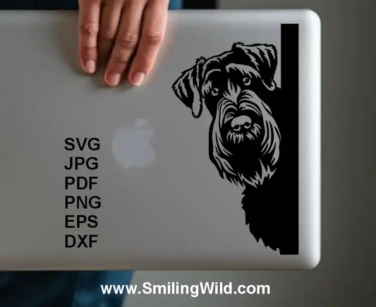 High-resolution SVG of Giant Schnauzer head peeking arount the corner – ideal for Cricut decals, sticker and pet-themed gifts
