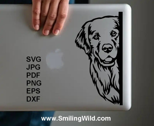 product preview of Golden Retriever corner clipart SVG PNG DXF shown as laptop cover sticker
