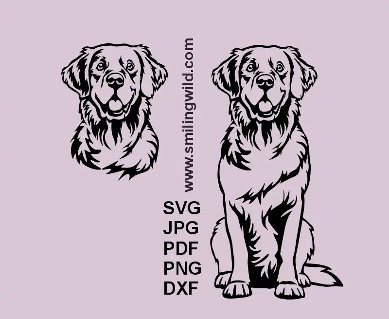 Golden Retriever head and full body SVG DXF bundle – digital dog clipart set