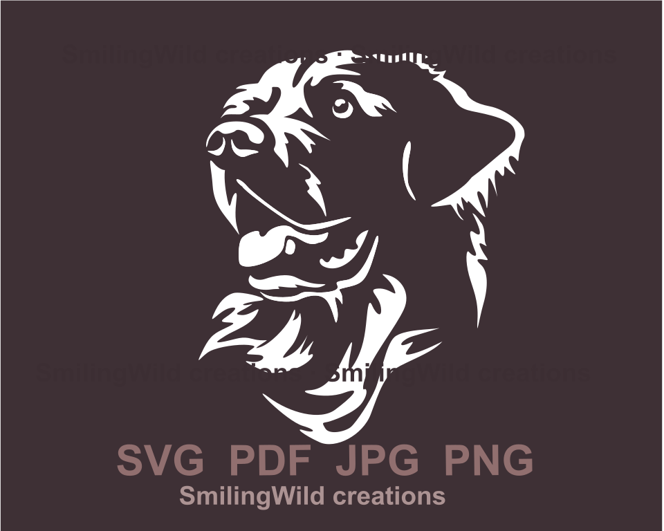 Golden retriever face with opend mouth in a white graphic clipart design art piece