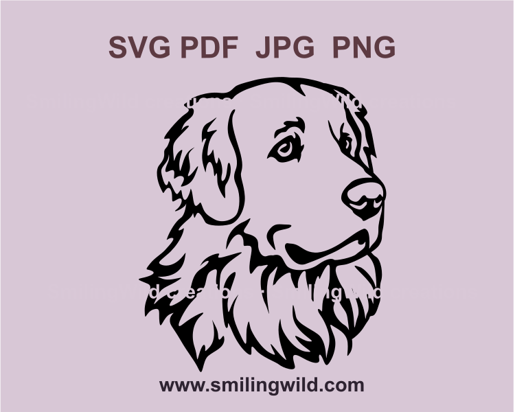 golden retriever detailed head in a svg clipart cuttable drawing