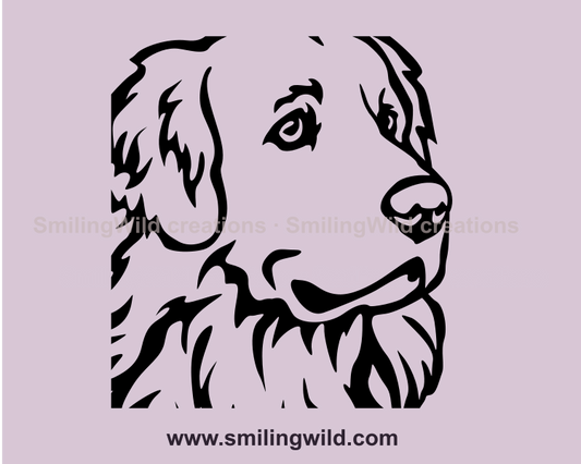 golden retriever vector graphic in close up image