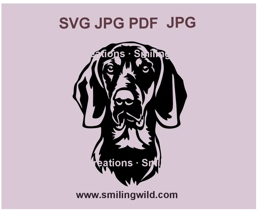 Gończy Polski SVG, DXF and PNGvector portrait – detailed Polish Hunting Dog clipart for Cricut, Silhouette, and laser cutting
