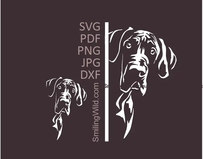 Great Dane peeking from corner in white SVG PNG DXF dog vector clipart for Cricut and laser cutting