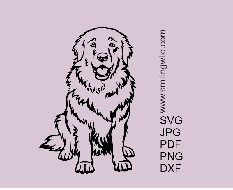 Great Pyrenees Dog SVG vector Art graphic file, showing the iconic breed stance - full body in sitting position. Herding Dog outline optimized for Cricut cutting projects.