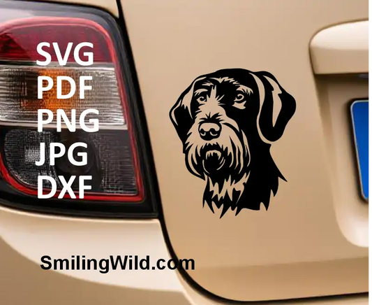 A car sticker showing Gun dog Wirehaired Pointer portrait SVG DXF PNG – cuttable digital graphic for engraving and crafts