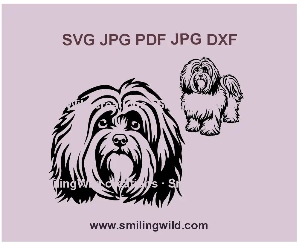 Havanese Bichon dog SVG, PNG & DXF – Vector clipart for Cricut and laser cutting