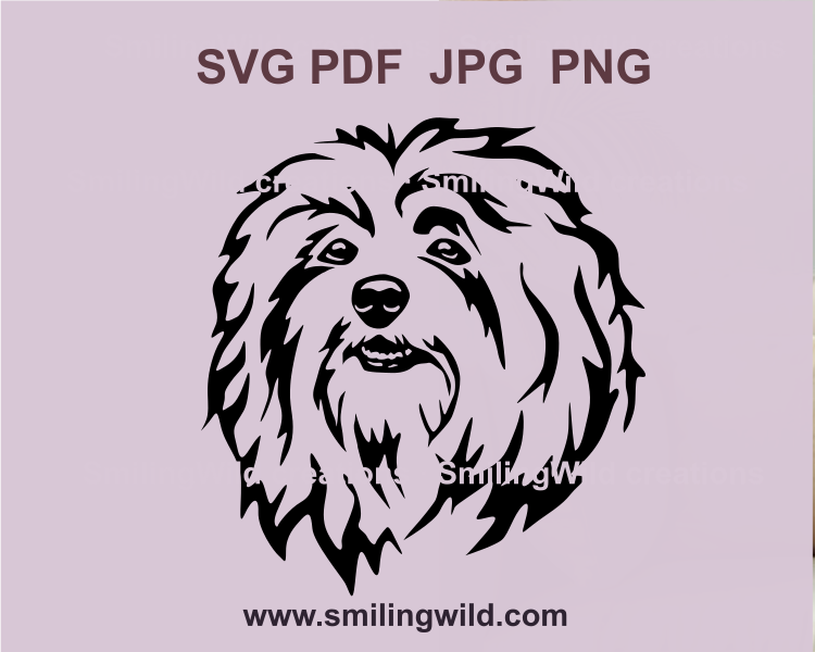 Havanese SVG and png clipart of a dog head, ideal for Cricut cutting machines and digital crafts