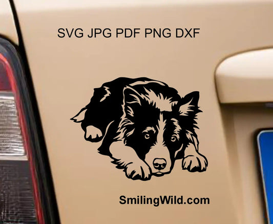 Herding dog clipart featuring a Border Collie in a lying pose, optimized for DXF and PNG formats.