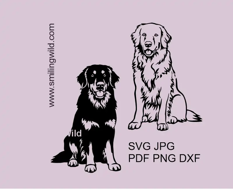 Hovawart SVG Vector Clipart bundle showing Black and Blonde Dog Graphic Design sitting variations.