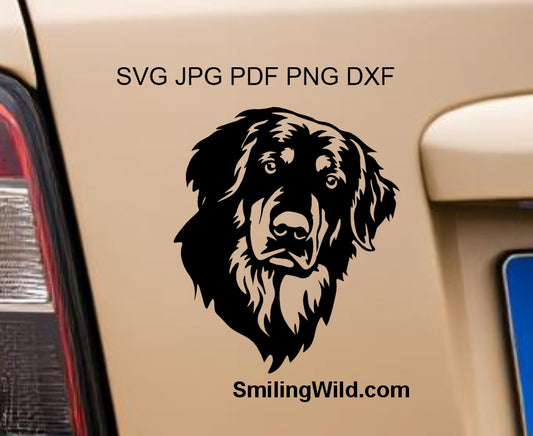 a car decal presenting a Hovawart Peeking png Vector Clipart emphasizing the clean lines of the design.
