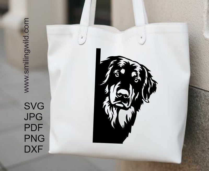 Preview of the PNG and DXF files included in the Hovawart Corner Dog Design bundle, showcasing the file structure.