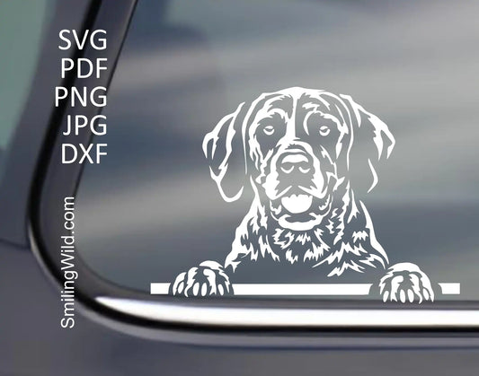 Hunting dog in peeking position showcaseing German Shorthaired pointer clipart in svg, png and dxf graphic art