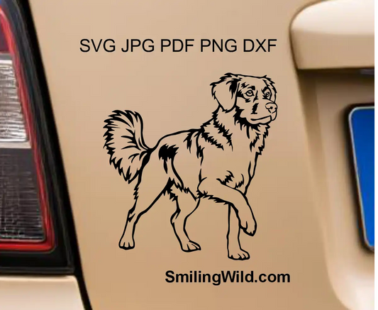 High-fidelity hunting retriever toller vector png and dxf file detailing the authentic athletic stance and paw work for professional CNC laser marking.