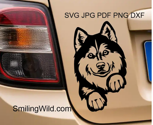 a peeking Husky dog face as a car decal made of vector digital design for Cricut crafts, vinyl cutting, and laser engraving
