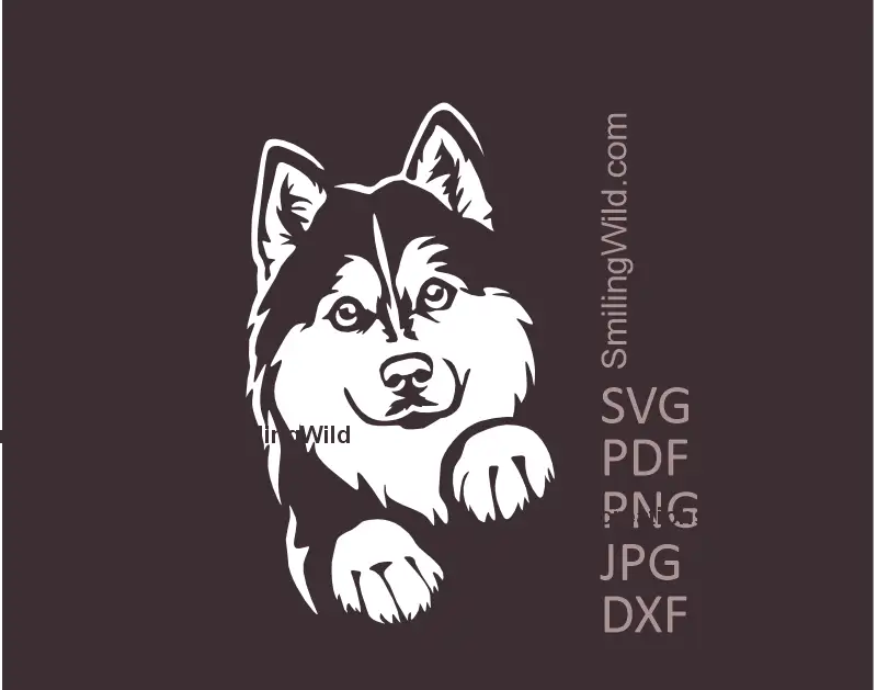 Peeking Husky dog head white SVG PNG DXF vector graphic for Cricut, laser cutting, and digital craft projects - hte dog is showing his paws