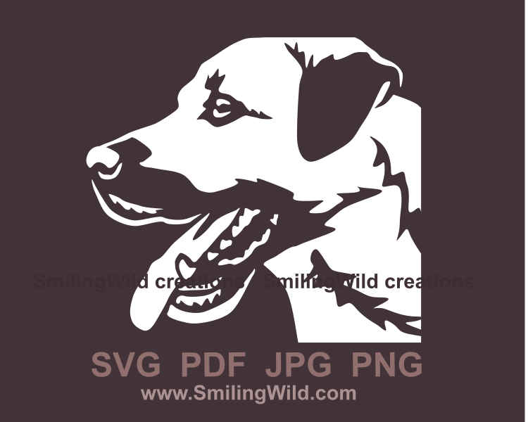 kangal dog face raphic design