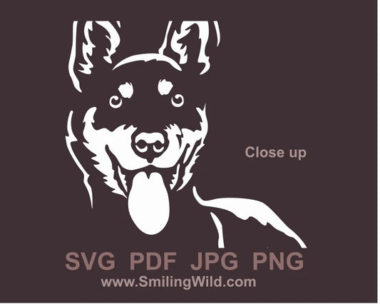 smiling australian kelpie face graphic art