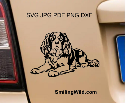 King Charles spaniel svg and png graphic clipart digital drawing showing the dog in lying position visualized as a car decal Cricut cutting file