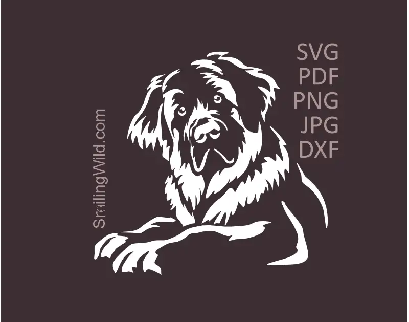 White Leonberger lying dog with curious face in SVG PNG DXF vector cut file for Cricut and laser engraving