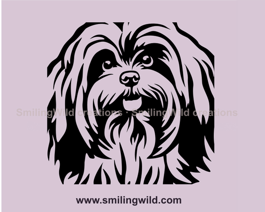 lhasa apso vector art image
