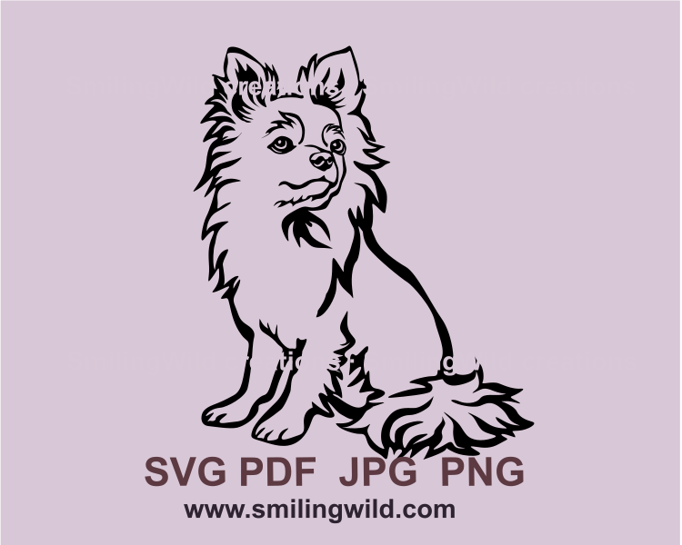 long haired chihuahua clip art design made in line art