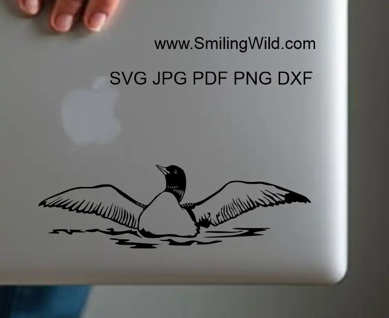 Vector clipart files of a loon in frontal position advertised as a laptop sticker here