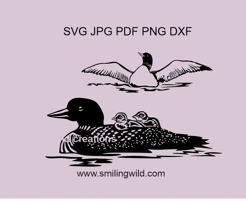 Black Loon Mom and Baby and a frontal loon image in SVG, PNG & DXF vector clipart for Cricut, laser cutting, and crafting projects