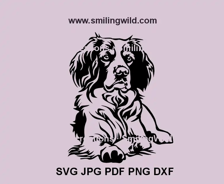 Black SVG of a lying Brittany Spaniel with a noble look dog – perfect for Cricut and laser engraving projects