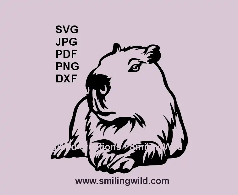 Realistic lying Capybara SVG black vector file for Cricut and laser cutting wildlife crafts