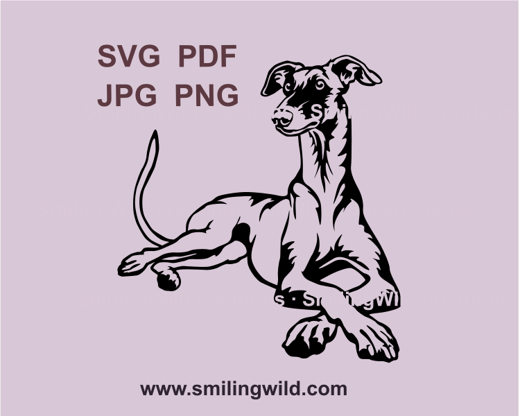 lying galgo svg clttable image with transparent background