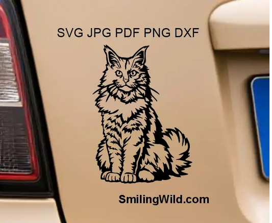 Full body sitting Maine coon cat svg and png cut files for laser and cnc presented as a vinyl decals on a car mocup.