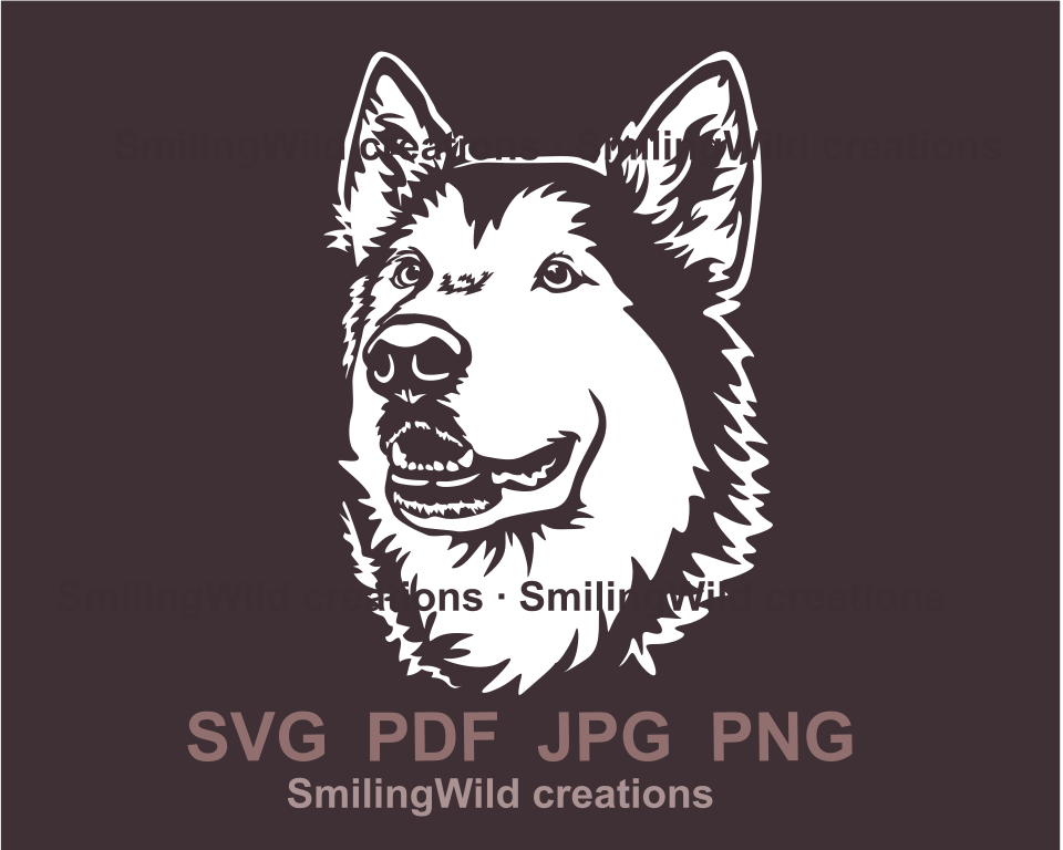 Malamute head made in white digital line art